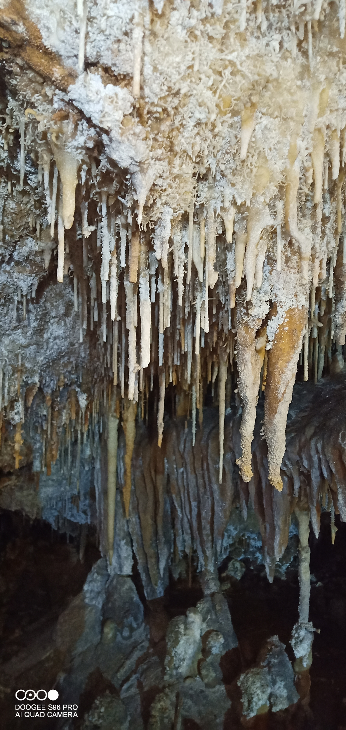 Escursione alla Grotta del Campanaccio 21.11.2021